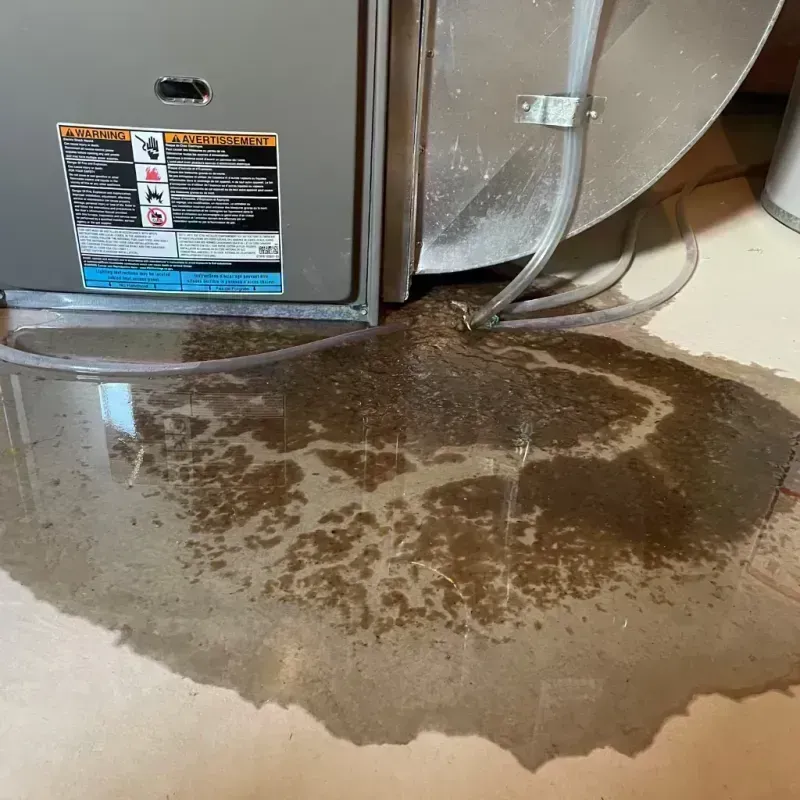 Appliance Leak Cleanup in Birmingham, MI